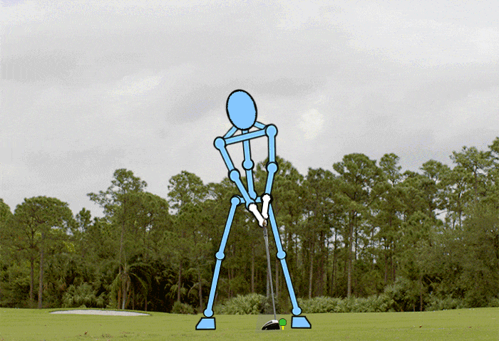 Swing Analysis